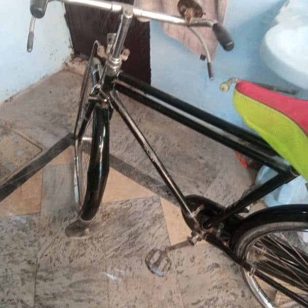sohrab cycle 5