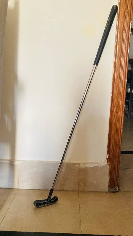 Dunlop Electric Putting Practice Machine 1