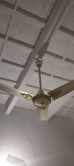 ceiling fan
