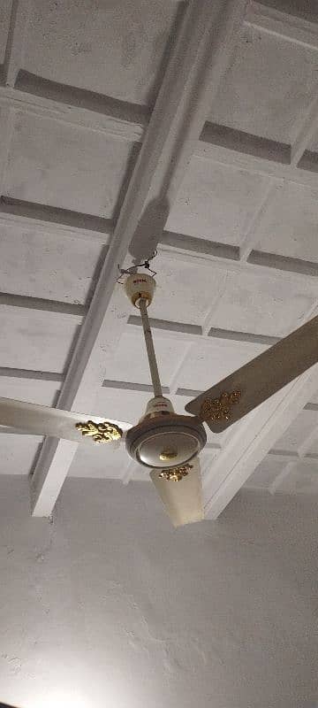 ceiling fan 1