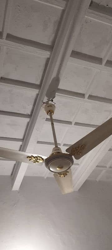 ceiling fan 2