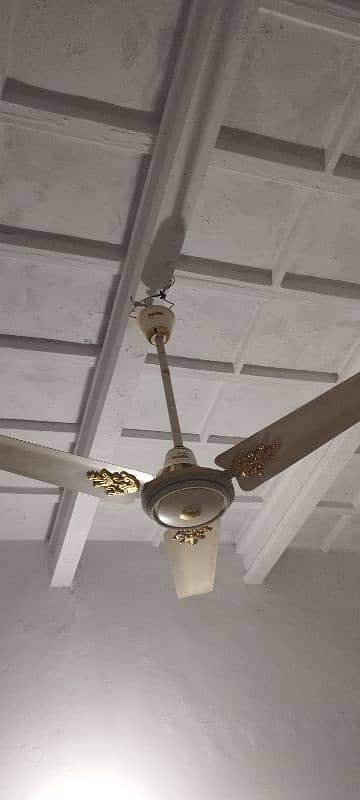 ceiling fan 3
