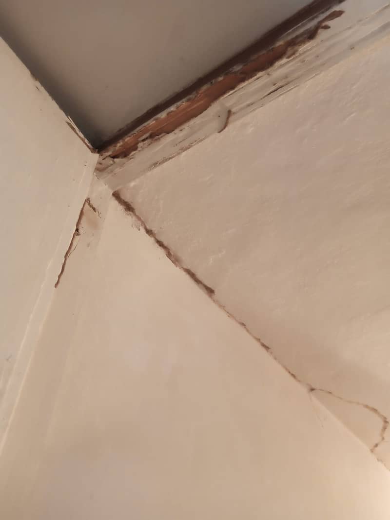 Deemak Control, Fumigation Service, Pest Control, Termite Control 1