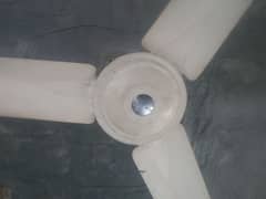 floor
