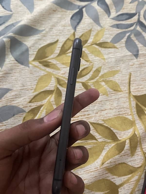 iPhone 11 pta approved 1