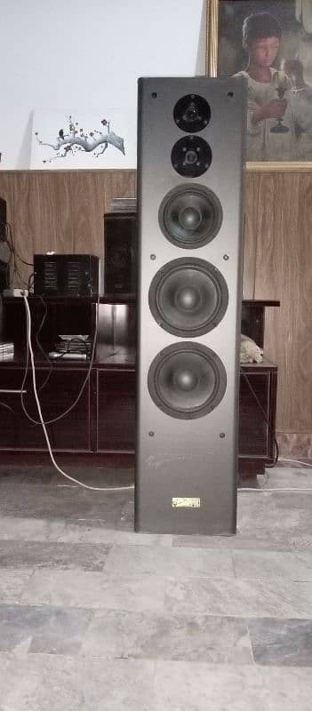 A pair of Tower speakers with twin woofers Make UK. 1