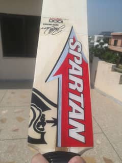 spartan sikander 1000 cricket bat