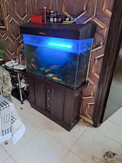 Aquarium