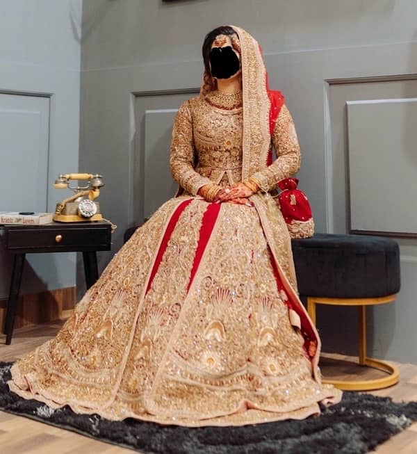 Libas-e-Khas Walima Suit | Bought for 5 Lac | Demand Only 2.5 Lac 6