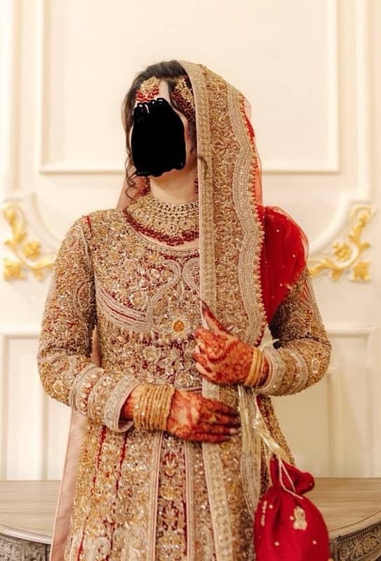 Libas-e-Khas Walima Suit | Bought for 5 Lac | Demand Only 2.5 Lac 11
