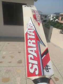 spartan sikander 1000 hardball cricket bat