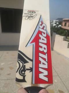 spartan sikander 1000 hardball cricket bat