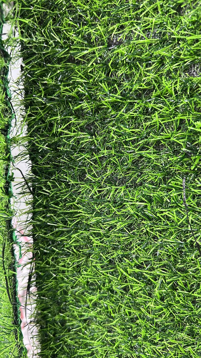 Artificial Grass 3