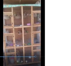 wooden cage