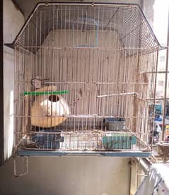 Cage