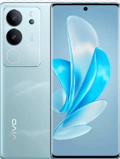 V29