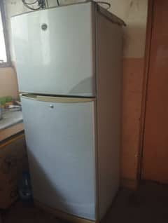 PEL fridge