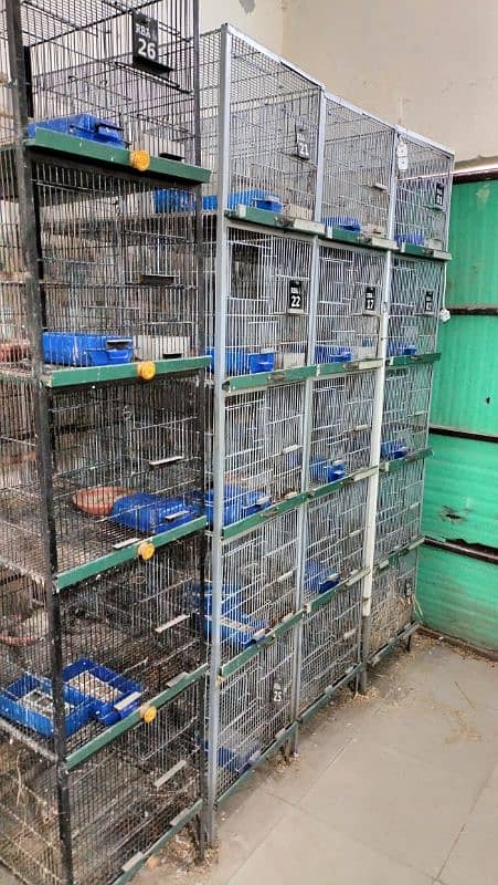 5 portion spotwellding cages 2
