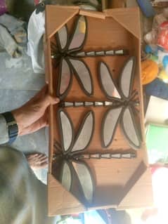 dragonfly mirrors