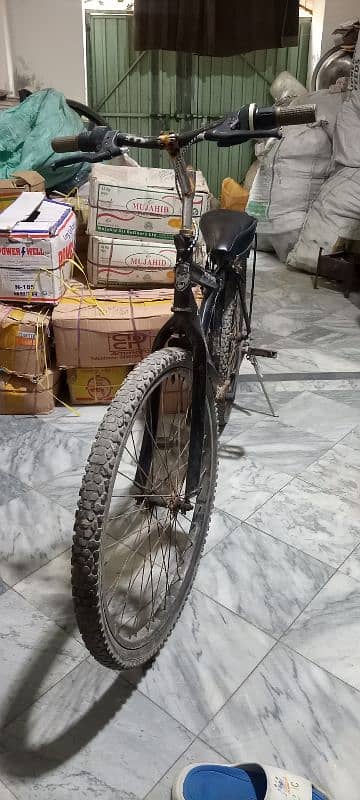Bicycle 3