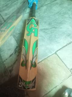 Cricket CA Bat