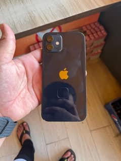 iPhone 12 10/10 condition  urgent Sale Water pack