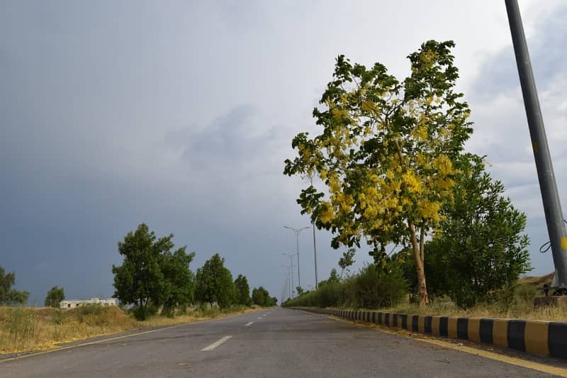 Sector 4B Plot | Well Developed Area | Near To Central Avenue 8