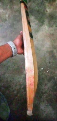 A Cricket Bat