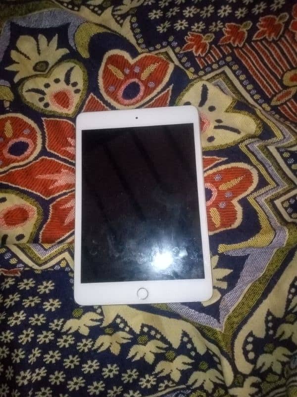 mini5 1