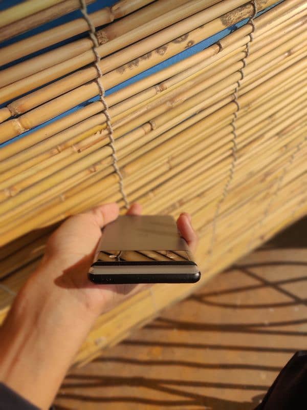 Google Pixel 6 (NON PTA) 3
