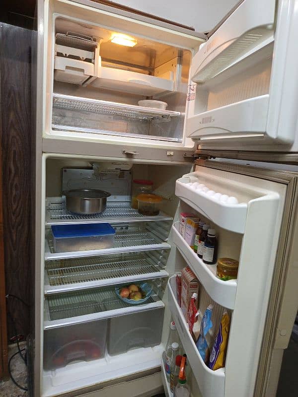 Full Size Fridge 1