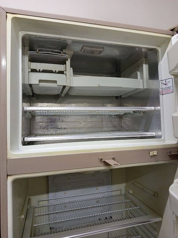 Full Size Fridge 6