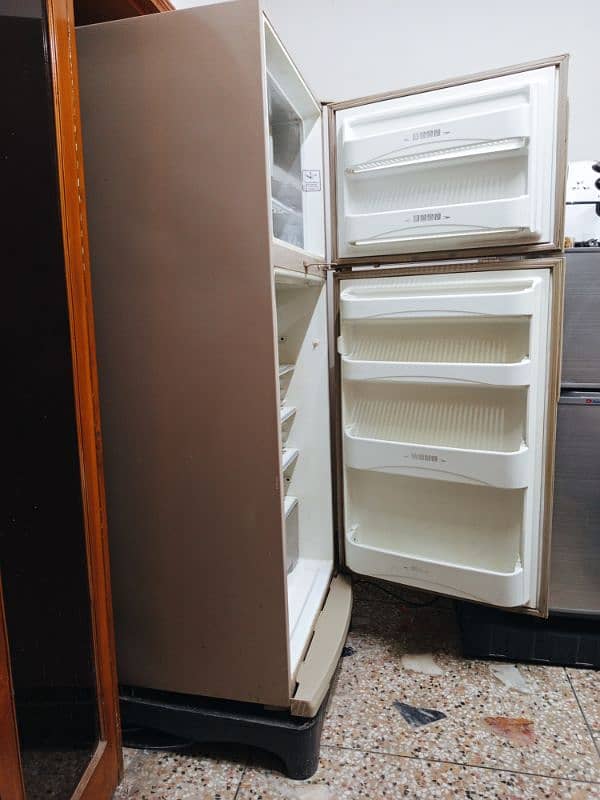 Full Size Fridge 7