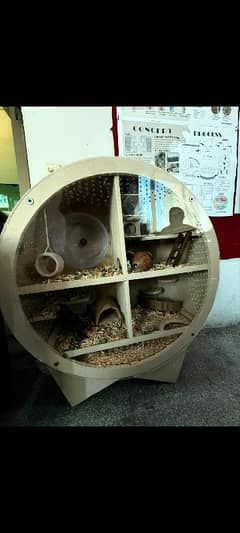 hamster cage