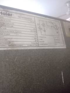 hair fridge