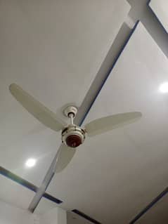 royal fans for sale