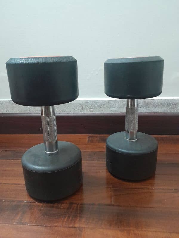 15 kg dumbell pair 3