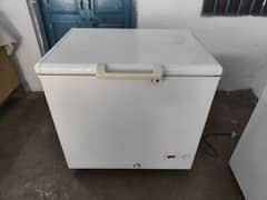 Haier