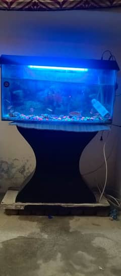 Aquarium