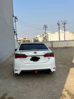 corolla