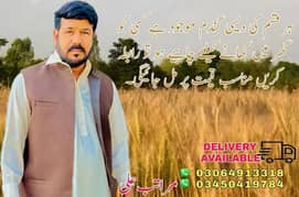 Gandam