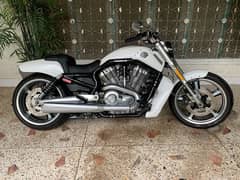 Harley