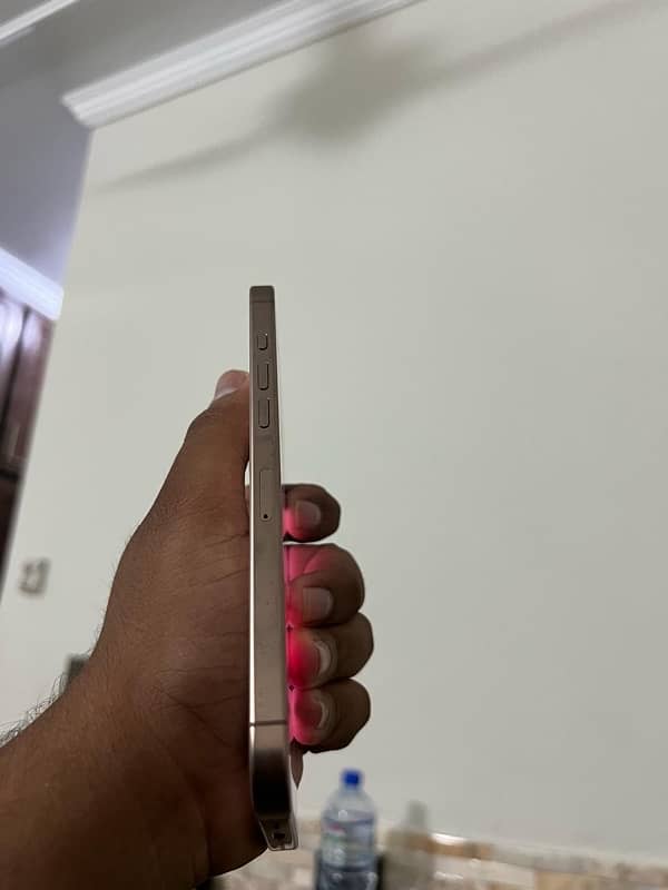 iPhone 16 Pro Max (Non PTA) 2