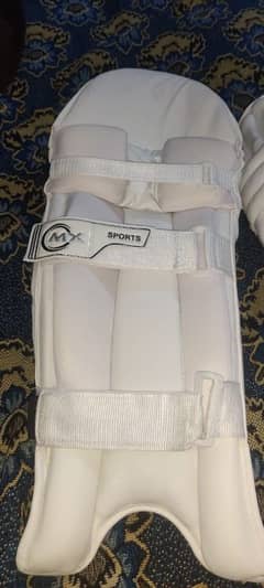 cricket kit