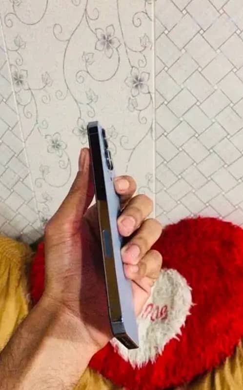 IPhone 13 pro max 3