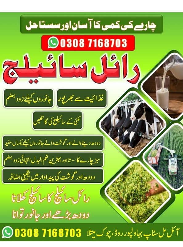 Royal Silage Multan 660/mun 0
