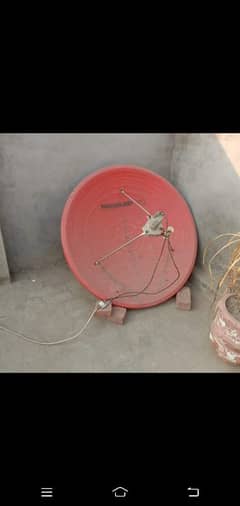dish