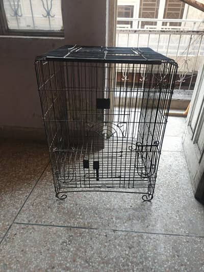 gray parrot cage available