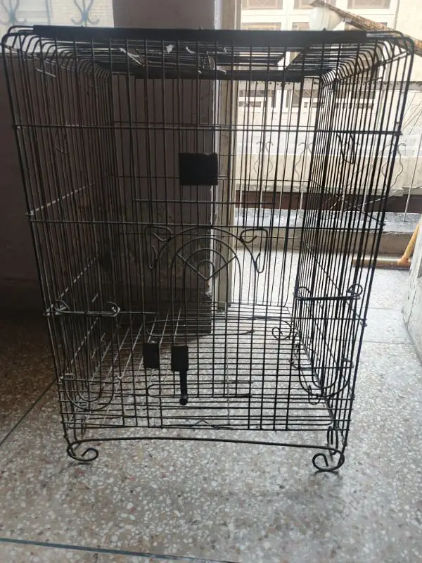 gray parrot cage available — photo 2