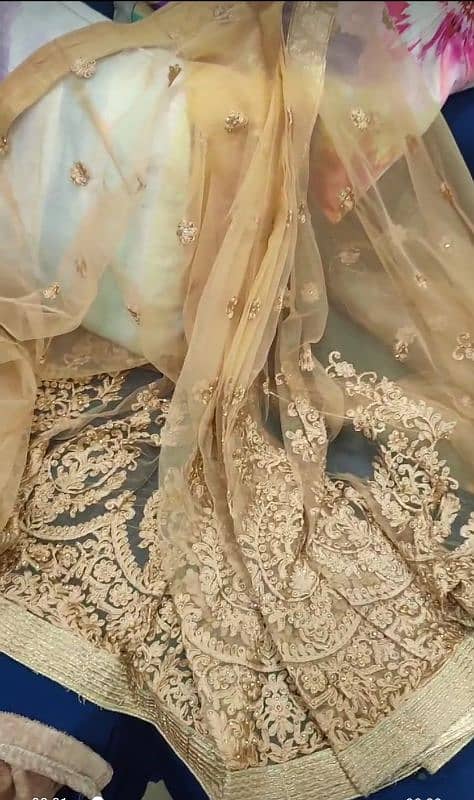 embordiery Net saree with blouse 1
